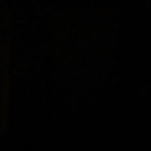 Meet your Posher, Trent